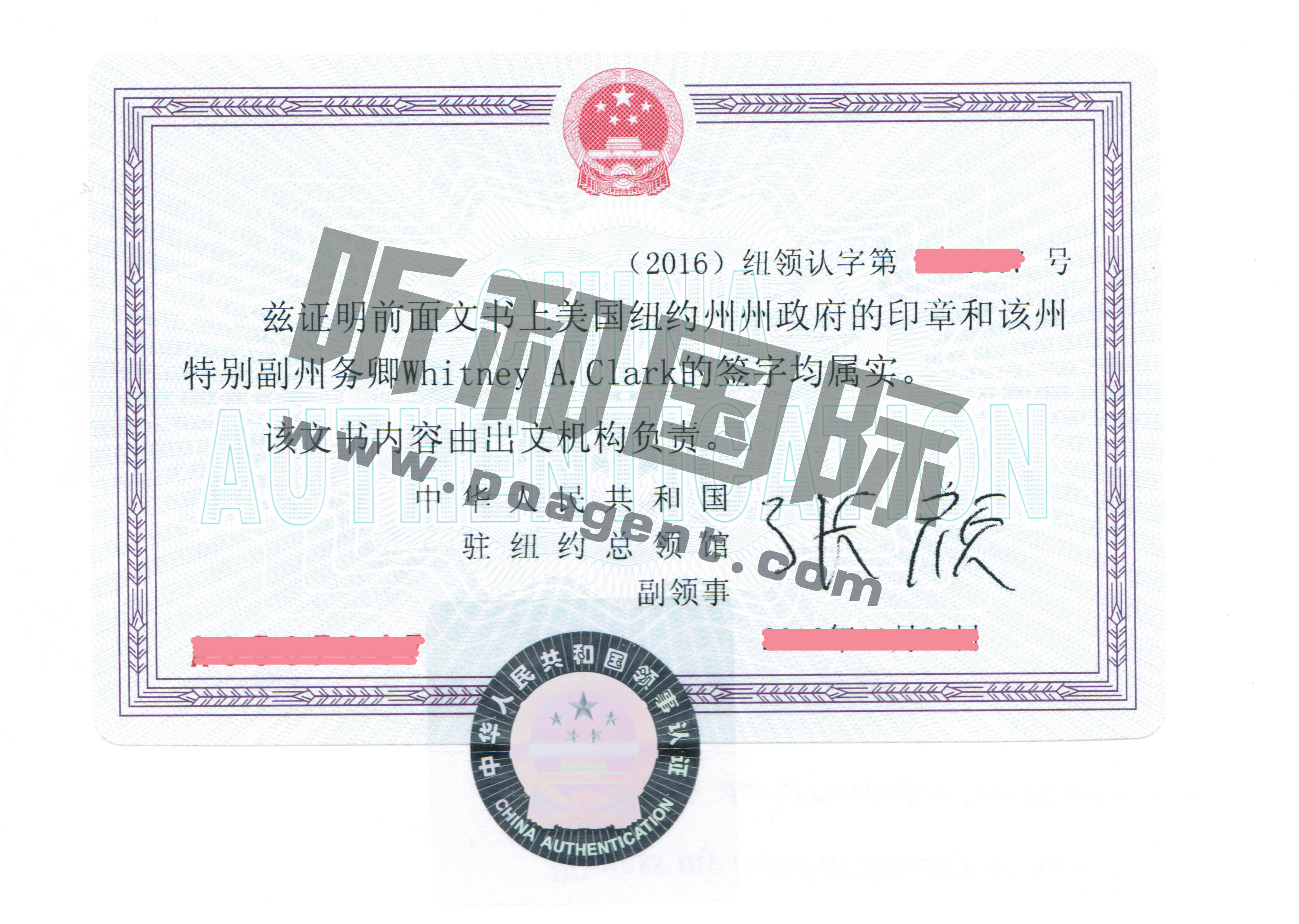 美国纽约大使馆认证样件案例